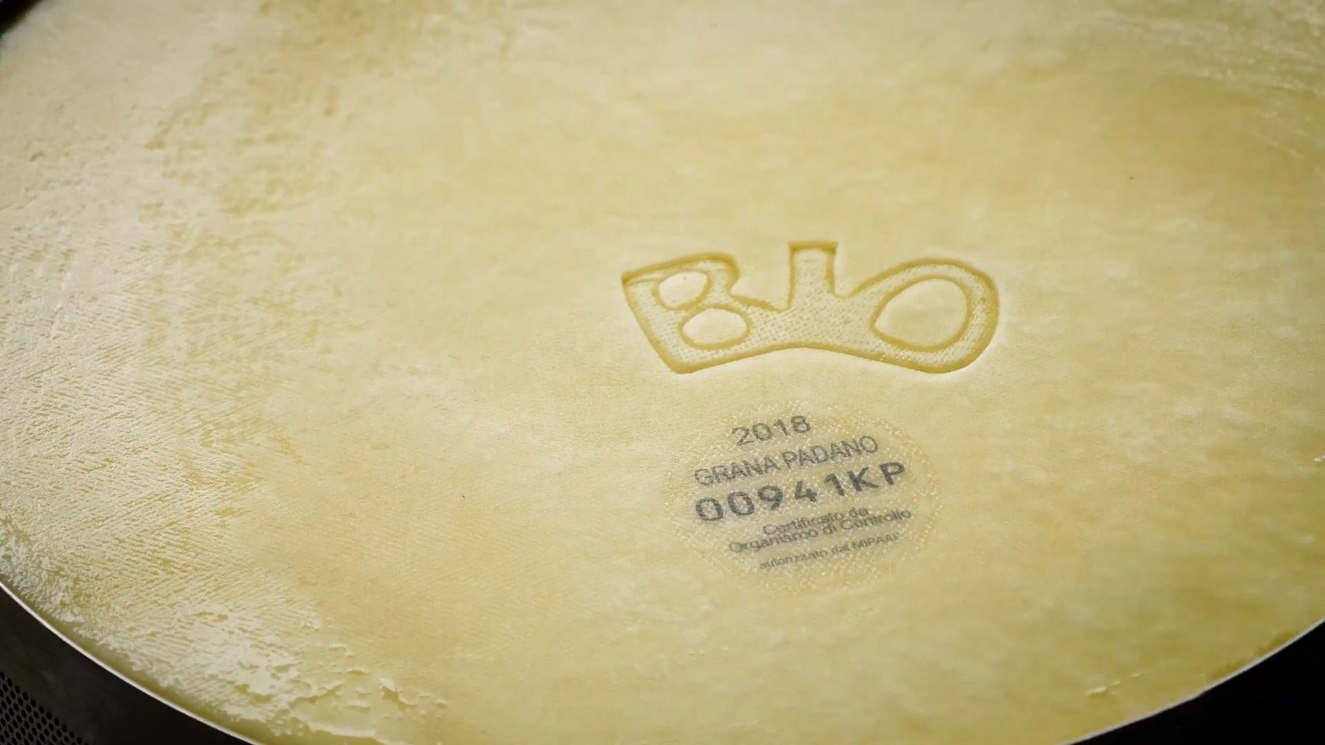 Grana Padano DOP Bio