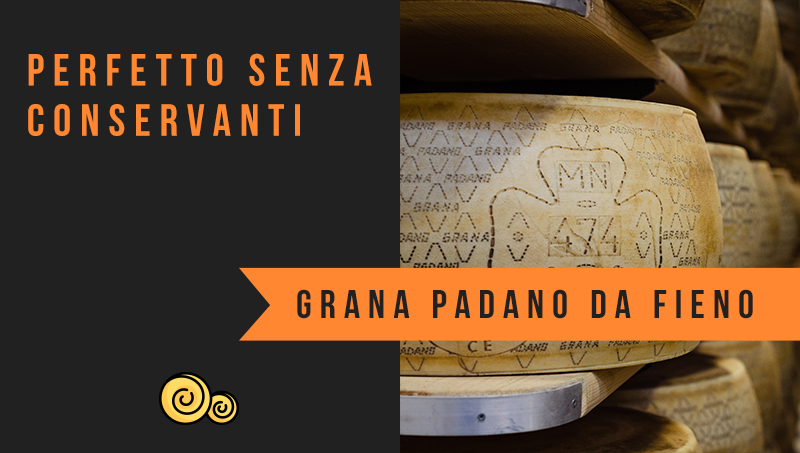 Grana Padano DOP da fieno